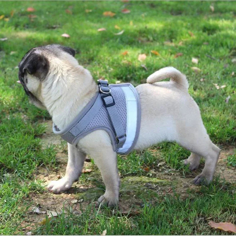 Adjustable Harness for dogs