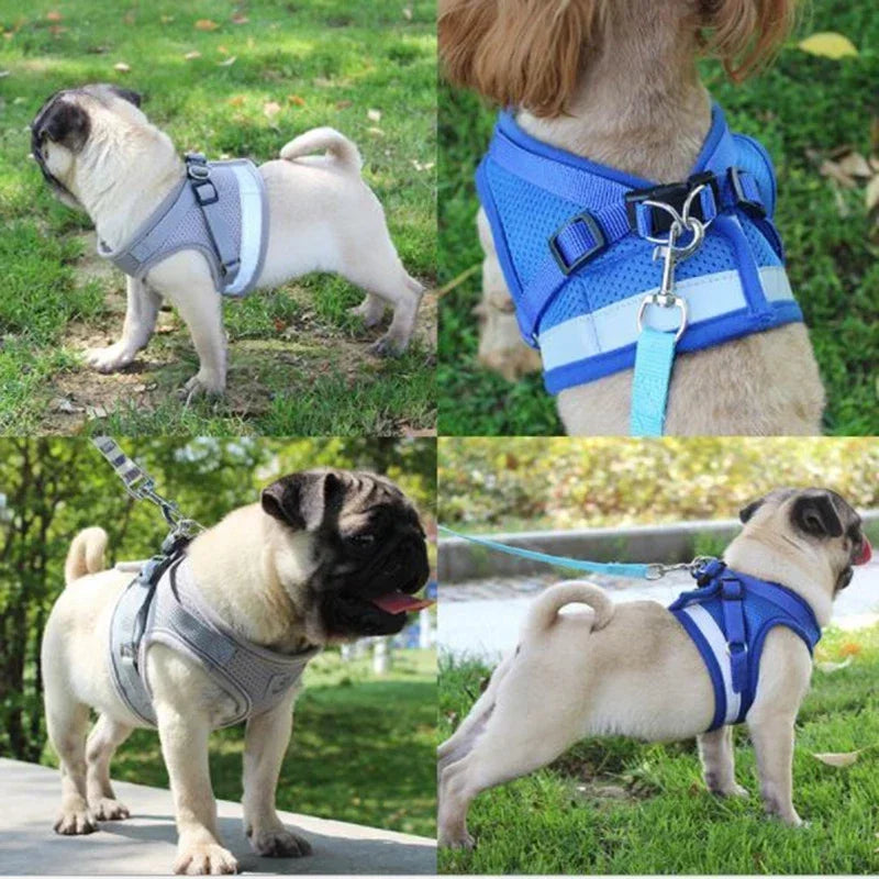 Adjustable Harness for dogs