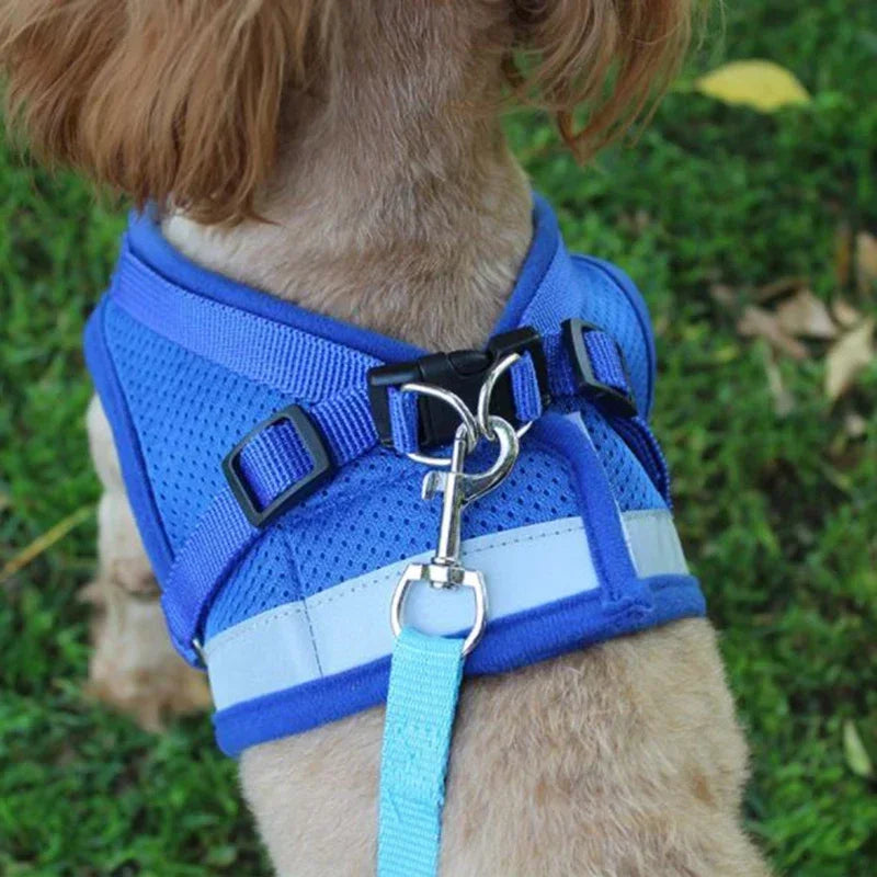 Adjustable Harness for dogs