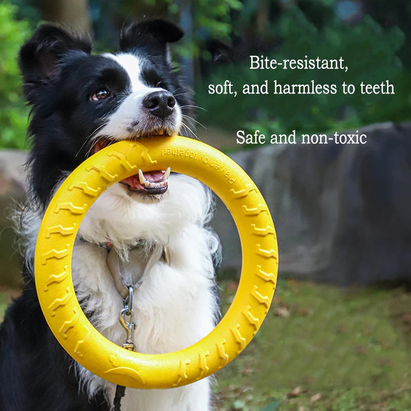 Durable Dog Toys Pack