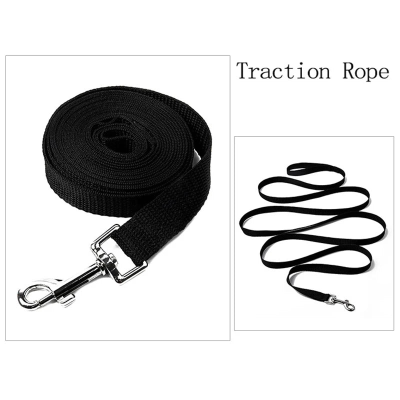 Durable Nylon Pet Leash