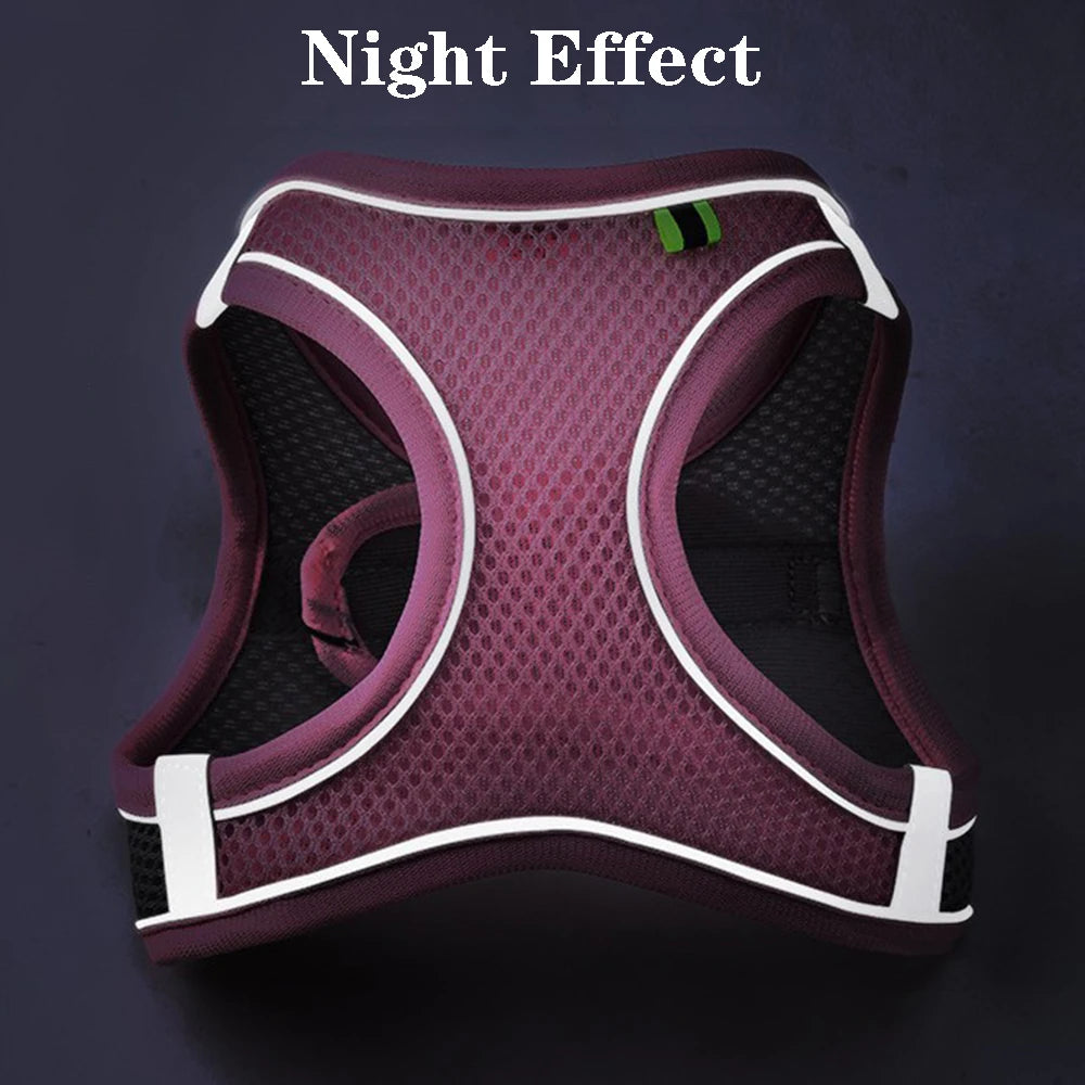 Reflective Mesh Pet Harness