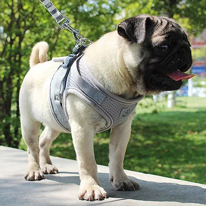 Adjustable Harness for dogs