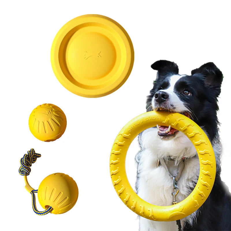Durable Dog Toys Pack