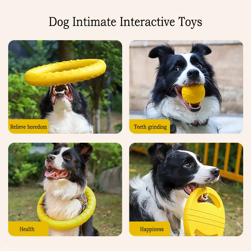 Durable Dog Toys Pack
