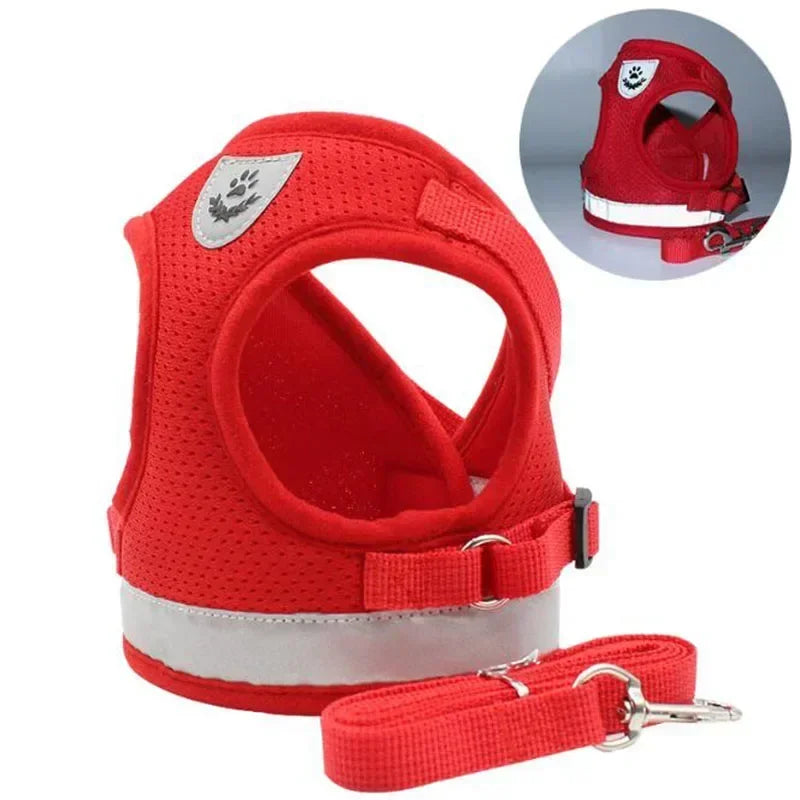 Adjustable Harness for dogs